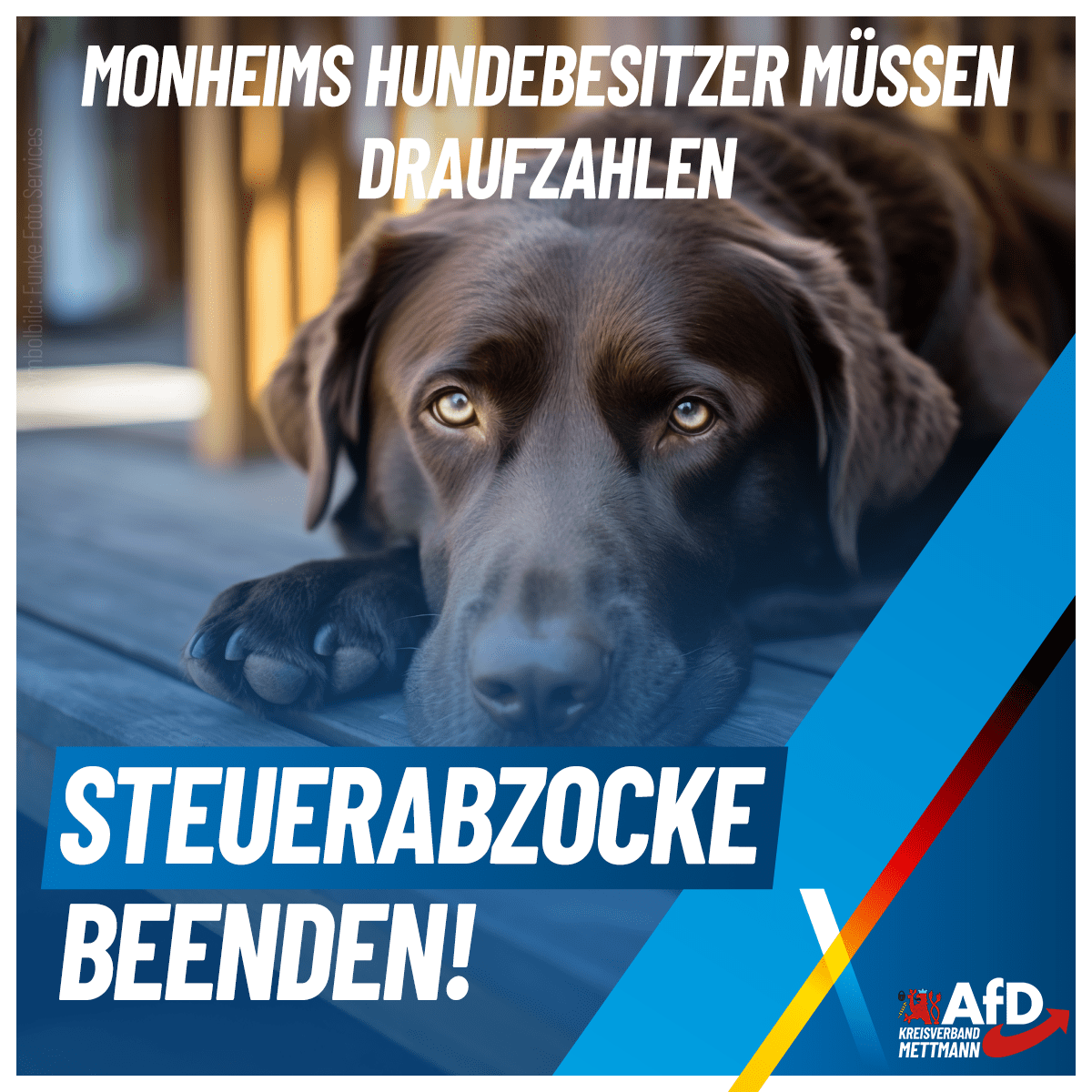 Mehr über den Artikel erfahren Monheim: Hundebesitzer werden für Prestigeprojekte geschröpft!