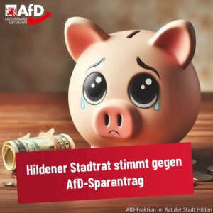 Mehr über den Artikel erfahren Hildener Stadtrat stimmt gegen AfD-Sparantrag